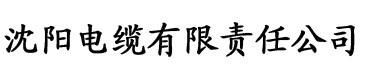 《鲜肉老师》如如电缆厂logo